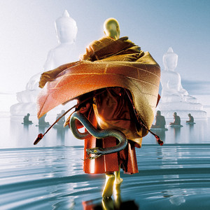 兔女郎的奇妙冒险安卓直装
