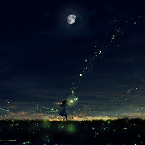 兔女郎的奇妙冒险安卓直装
