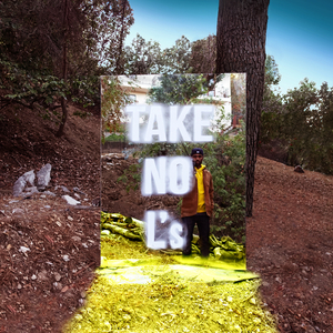 兔女郎的奇妙冒险安卓直装
