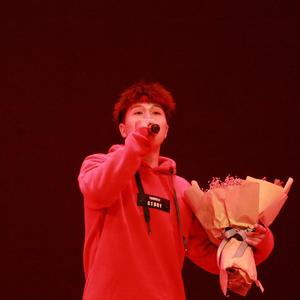 兔女郎的奇妙冒险安卓直装
