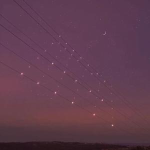 兔女郎的奇妙冒险安卓直装
